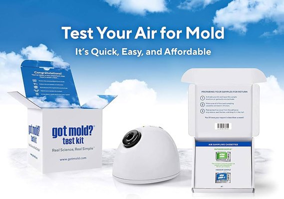 got-mold-kit